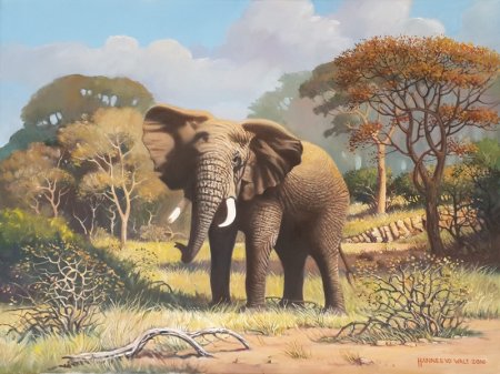 Oil on Stretched CanvasSize: (607x450x17)mmUnframedSOLD 2016 (by SouthAfricanArtists.com)